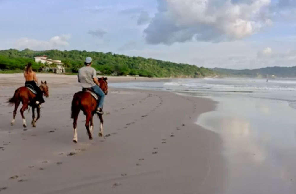Beach Horse Ride